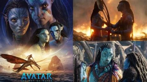 avatar torrent magnet|Avatar (2011) YIFY .